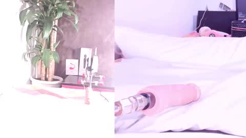 phi online show from 24, 3, 2026