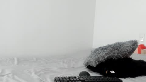 sophiebaker__ online show from 11, 3, 2025