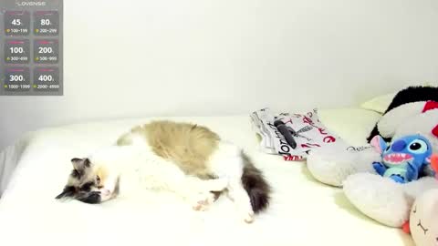 sophiebaker__ online show from 20, 9, 2025