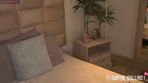 Snapshot of sophiecollins_1 chatting on 30, 6, 2026 Sophie online show from 30, 6, 2026