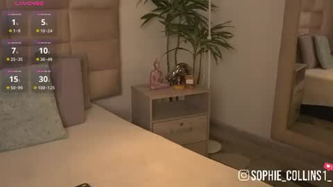 Snapshot of sophiecollins_1 chatting on 2, 7, 2026 Sophie online show from 2, 7, 2026