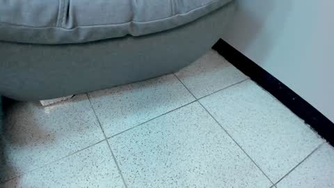 Snapshot of sophieharris__ chatting on 18, 1, 2025 sophieharris__ online show from 18, 1, 2025