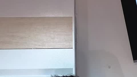 Sophiee online show from 21, 4, 2026