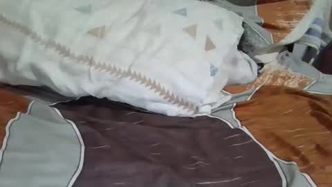 Dany online show from 2, 12, 2024