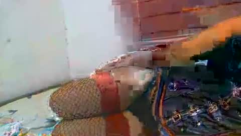 Soulless Jenica online show from 21, 4, 2026