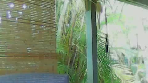 soveryhandsome online show from 4, 1, 2025