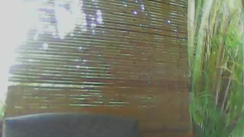 soveryhandsome online show from 18, 1, 2025