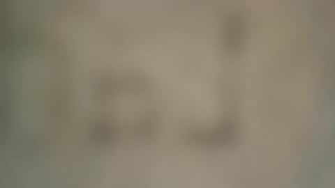 soveryhandsome online show from 4, 2, 2025