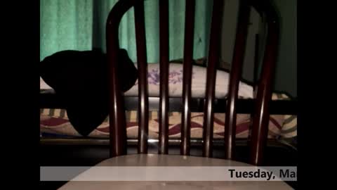 Snapshot of space_dog25 chatting on 3, 3, 2026 space Dog25 online show from 3, 3, 2026