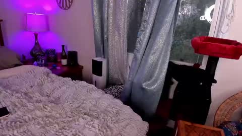 Snapshot of spankamber chatting on 27, 2, 2025 AmberSpanks online show from 27, 2, 2025