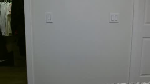 specialiest online show from 12, 1, 2026