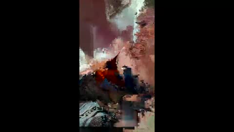 Rose online show from 17, 5, 2026