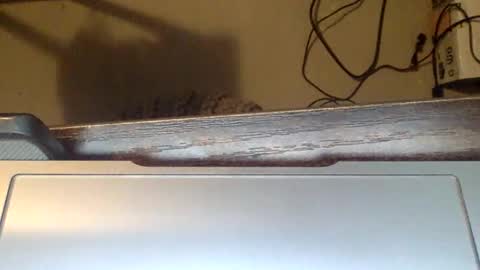 Snapshot of spirit__bear chatting on 22, 11, 2025 spirit__bear online show from 22, 11, 2025