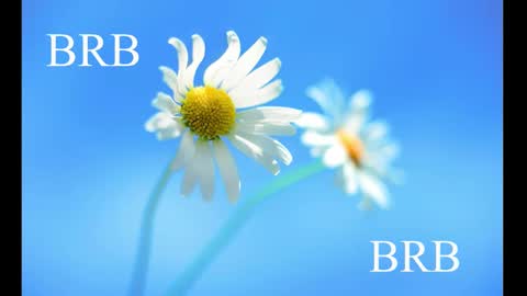 Snapshot of sport_tall_karina chatting on 28, 2, 2025 Karina online show from 28, 2, 2025