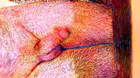 sprayx online show from 8, 2, 2026