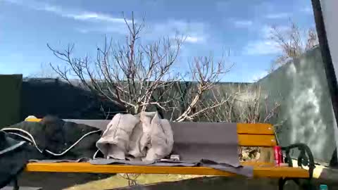 My name is Maya Lush is activeThere are legends that in this room all your wishes can come true  Private is Open online show from 7, 3, 2025