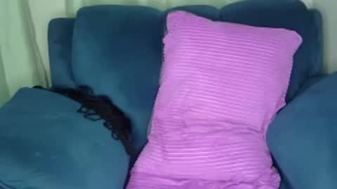 shana online show from 8, 12, 2024