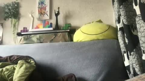 srekos38 online show from 25, 11, 2025