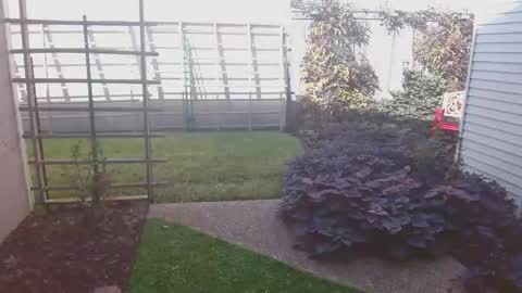 srtxshow online show from 16, 11, 2025