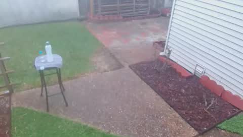 srtxshow online show from 8, 3, 2026