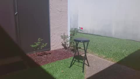 srtxshow online show from 14, 3, 2026