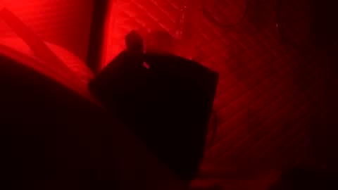 Dick online show from 22, 10, 2025