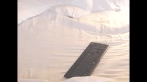 st8llion online show from 8, 11, 2025