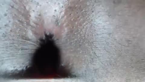 Snapshot of staminalord chatting on 26, 2, 2026 calvin online show from 26, 2, 2026