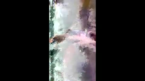 StarryWhispers online show from 28, 3, 2026