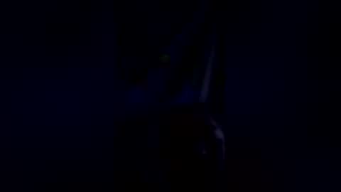 steelydan1942 online show from 18, 1, 2026