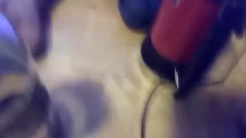 Snapshot of steinarskogmoen chatting on 19, 10, 2025 anube krato online show from 19, 10, 2025