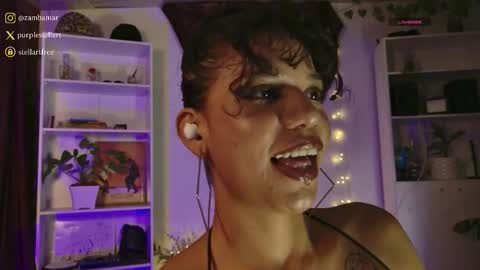 stellart_ online show from 5, 2, 2026