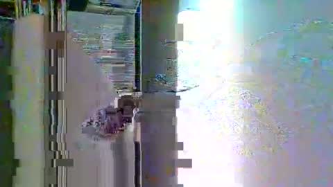 Ian23602 online show from 6, 1, 2026