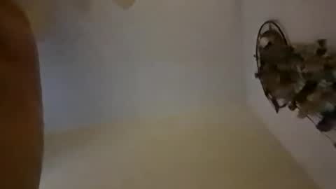 Snapshot of sterng123 chatting on 10, 12, 2024 sterng123 online show from 10, 12, 2024