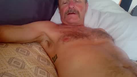 steviehard7 online show from 2, 10, 2025