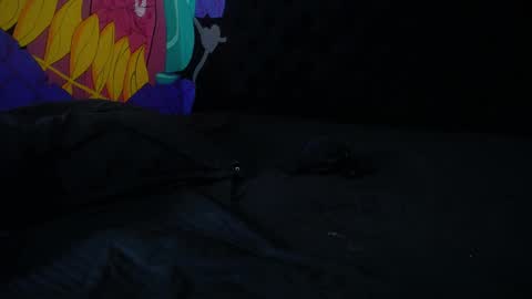 Snapshot of stickxcandy chatting on 30, 1, 2025 StickXCandy online show from 30, 1, 2025