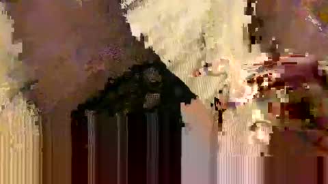 stockungs online show from 5, 12, 2024