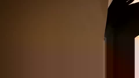 Oval2022 online show from 5, 12, 2024