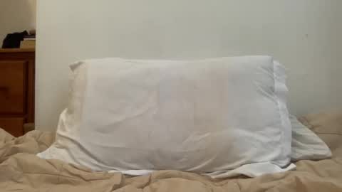 Snapshot of stonerboymac chatting on 28, 1, 2025 stonerboymac online show from 28, 1, 2025