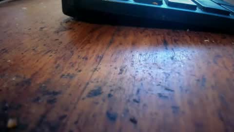 Stoner Dad online show from 28, 4, 2026