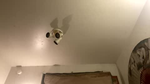 Stag online show from 27, 9, 2025