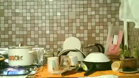 Strawberry Storm online show from 21, 10, 2025