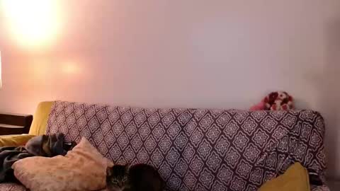 Strawberrylotsacake online show from 24, 11, 2025