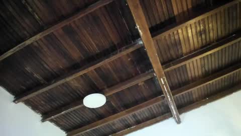 Alexa   online show from 24, 4, 2026