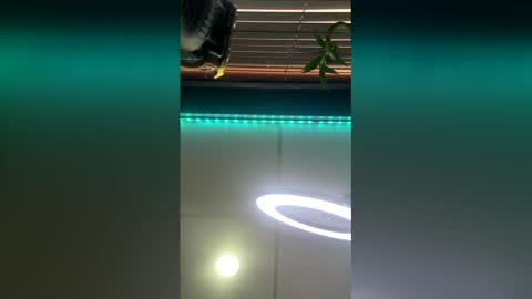 Snapshot of strong_rock69 chatting on 28, 3, 2026 strong_rock69 online show from 28, 3, 2026