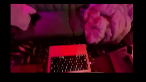 Snapshot of studio4three chatting on 26, 2, 2025 studio4three online show from 26, 2, 2025