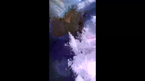 Snapshot of stuffamuffagus69 chatting on 17, 5, 2026 stuffamuffagus69 online show from 17, 5, 2026