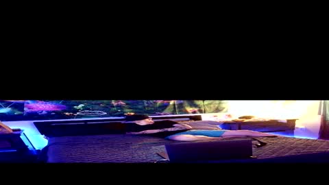 Snapshot of sty57039 chatting on 2, 3, 2026 Stycock88 online show from 2, 3, 2026