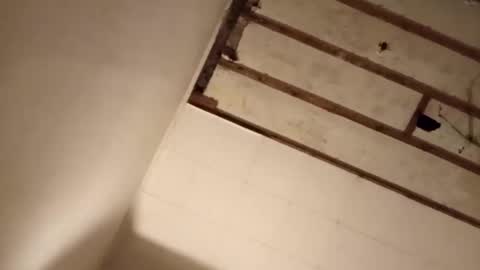 suckmeplease70 online show from 2, 11, 2025