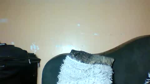 sugar online show from 27, 3, 2026